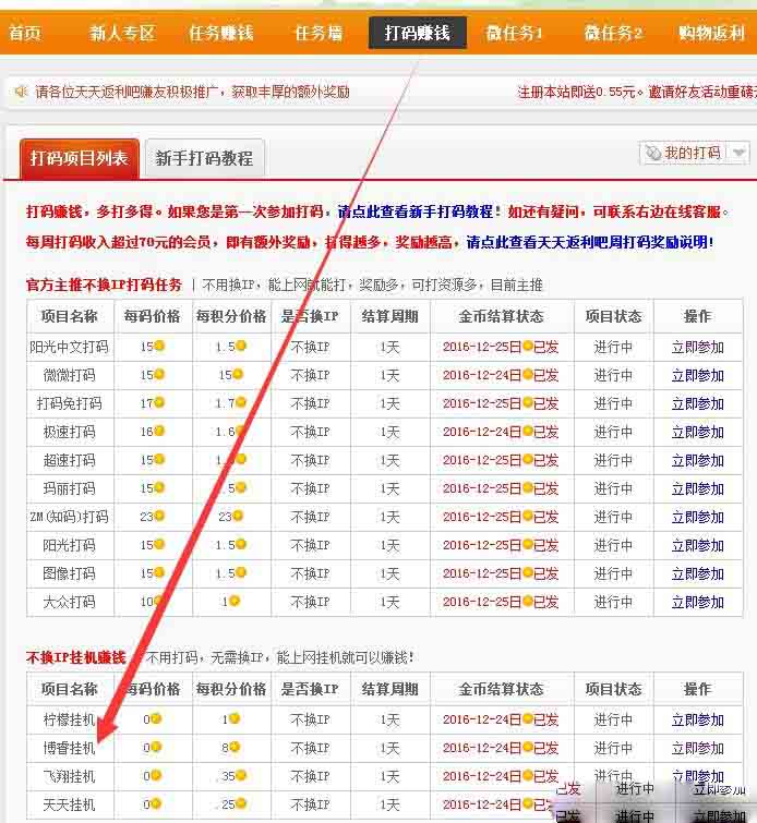 博睿挂机怎么样？简单挂机教程出炉，每天结算！